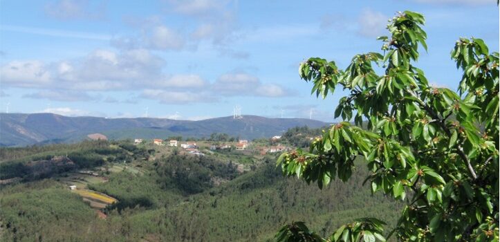 Sertã