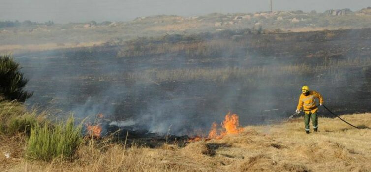 Três incêndios no distrito... todos dominados