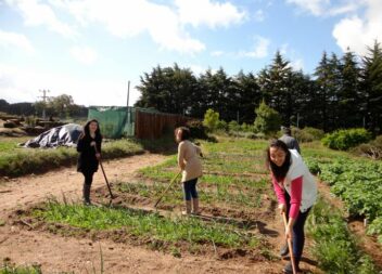 As “Hortas Pedagógicas da Escola Superior Agrária” vão entrar no 3º ano de vida,