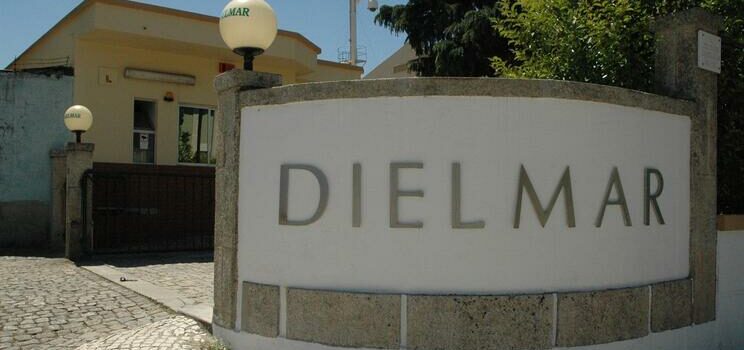 Dielmar volta a abrir portas