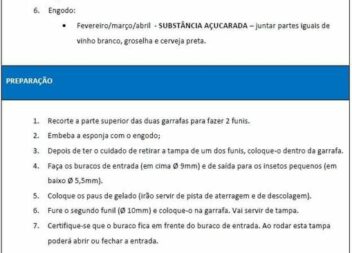 Proteção Civil da Covilhã recomenda armadilha caseira para as rainhas da vespa v