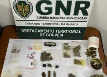 Doze detidos em operação de prevenção e combate à CRIMINALIDADE EM GOUVEIA