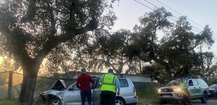 Acidente em Castelo Branco faz um ferido