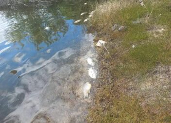 Manifestação na Marateca: alertar as autoridades competentes a agirem de forma a