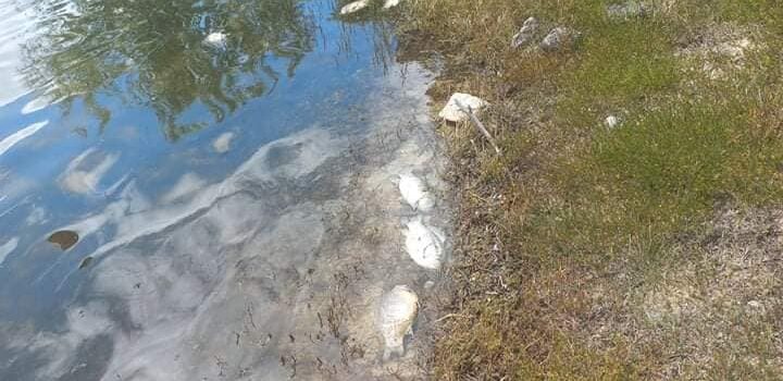 Manifestação na Marateca: alertar as autoridades competentes a agirem de forma a