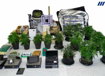 PSP de Castelo Branco realiza detenção por Tráfico de Estupefacientes