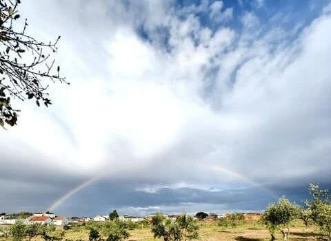 Telma Monteiro sobre acidente em Castelo Branco: "Foi o maior susto da minha vid