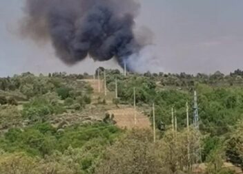 Incêndio Florestal em Sabugal