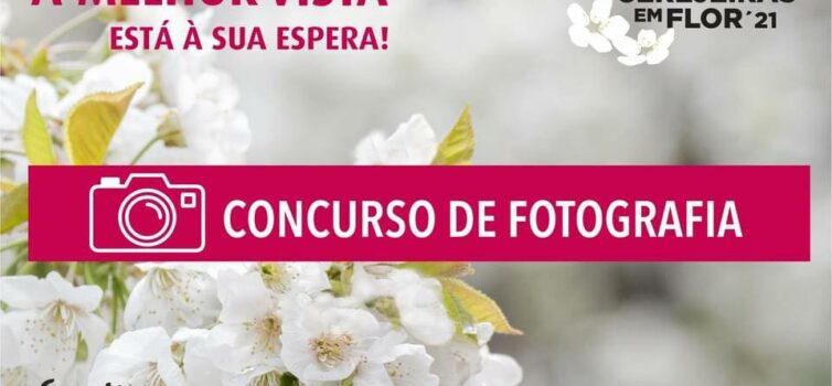 Vencedores do Concurso de Fotografia de Cerejeiras em Flor 2022: